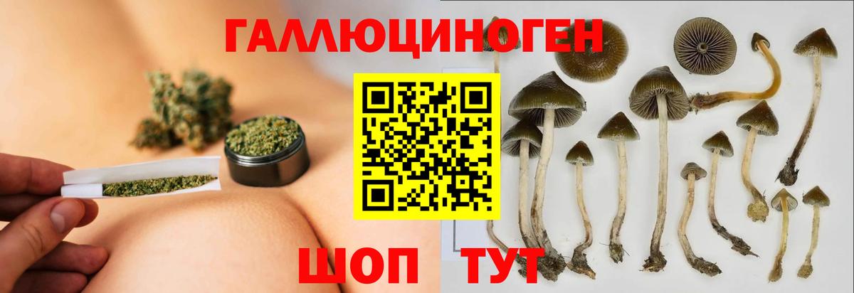 Строитель  Псилоцибиновые грибы Magic Shrooms  Вход с VPN  Галлюциногенные грибы ЛСД 